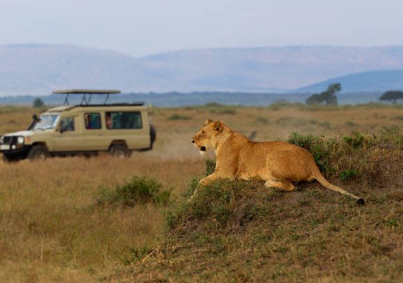 3 Days Safari Queen Elizabeth